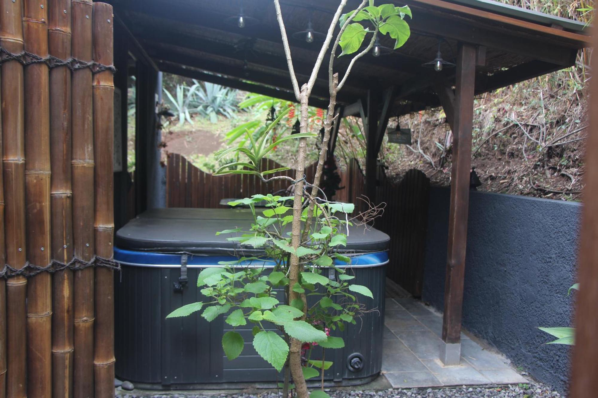 Lodge Le Palissandre à LA LIANE DE JADE 974- jacuzzi privatif - piscine Le Bois de Nefles  Extérieur photo
